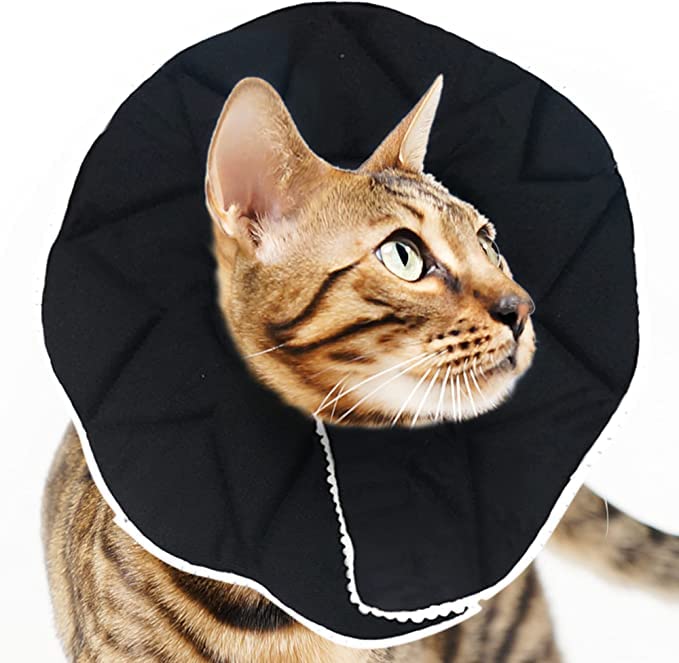 SunGrow Cat Cone Collar Soft, Cat Recovery E Collar Cone After Surgery to Stop Licking, Pet Cone of Shame Alternatives, Scratch & Bite Proof Grooming Soft Cone for Easy Nail Cutting Black (M, 9-10.5" Neck) - BeesActive Australia