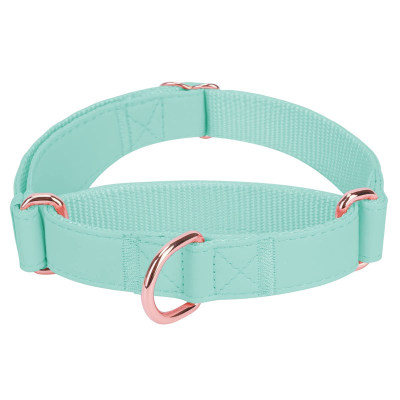 Soft Leather Martingale Dog Collar - Adjustable Rose Gold Limited Slip Collars [Easy to Clean], Stylish Durable Heavy Duty Nylon No Pull Training Collar for Small Medium Large Dogs XS (Neck 8"-11", Width 3/5") Mint Green - BeesActive Australia
