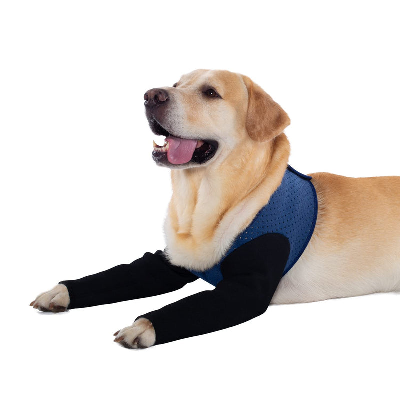 Coodeo Dog Recovery Sleeves, Cone Collar Alternative, Abrasion Resistant Dog Recovery Suit, Washable 2.5mm Thick and Waterproof, Pet Wounds Prevent Licking, Bite, Keep Dry XL Blue - BeesActive Australia