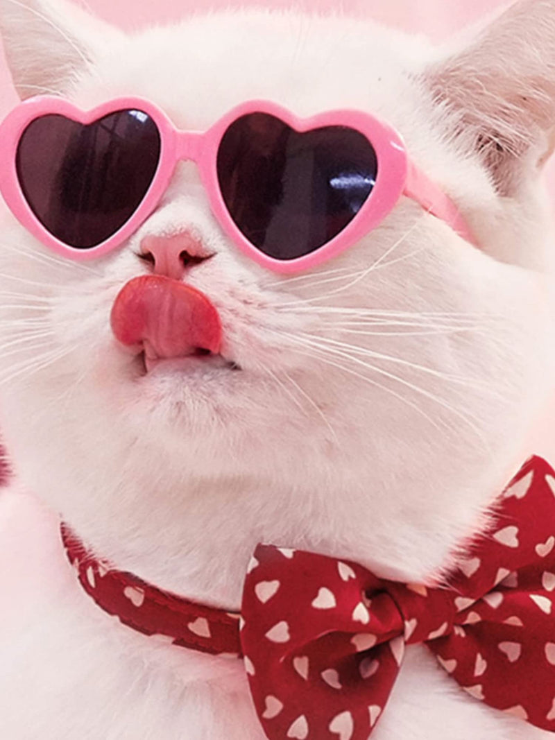 Pet Cat Dog Doll Sunglasses, Kitty Funny Props Eyeglasses, Cosplay Photography Props Cute Sunglasses 2PCs White and Pink - BeesActive Australia