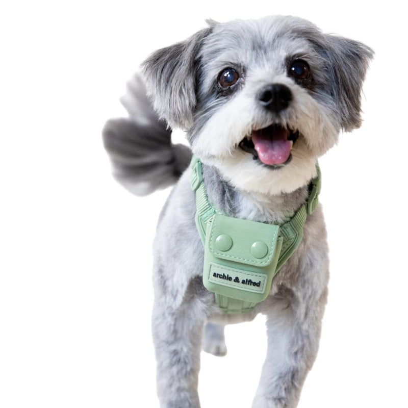 No Pull Adjustable Dog Harness - Water Resistant & Easy to Clean with Control Handle and Pocket Attached | archie & alfred Large - BeesActive Australia
