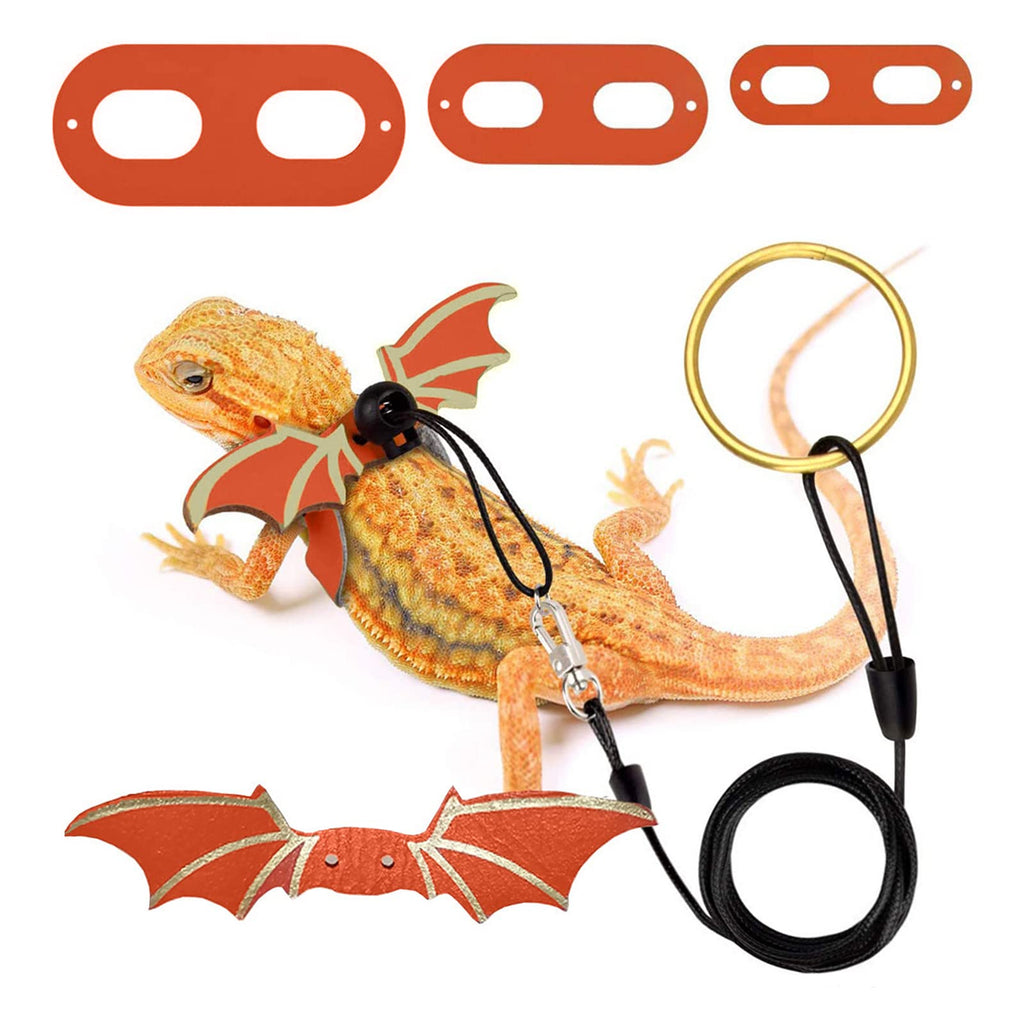 Removable Dragon Lizard Leash and Harnesses with Bat Wings, for Bearded Dragon Amphibians and Other Small Pet Animals, Reptile, Gecko, Iguanas, 3 Different Size(S, M, L, 3 Pack) Orange - BeesActive Australia