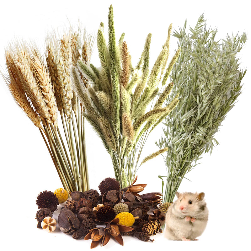 NICERINC PET Natural Herb Bedding Mate Habitat Decor, Adding Fun Hamster Accessories for Hamsters Gerbils Lemming Wheat - BeesActive Australia