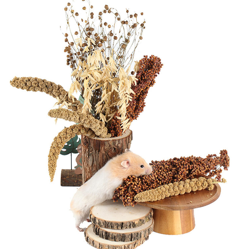 NICERINC PET Natural Herb Bedding Mate Habitat Decor, Adding Fun Hamster Accessories for Hamsters Gerbils Lemming Grain - BeesActive Australia