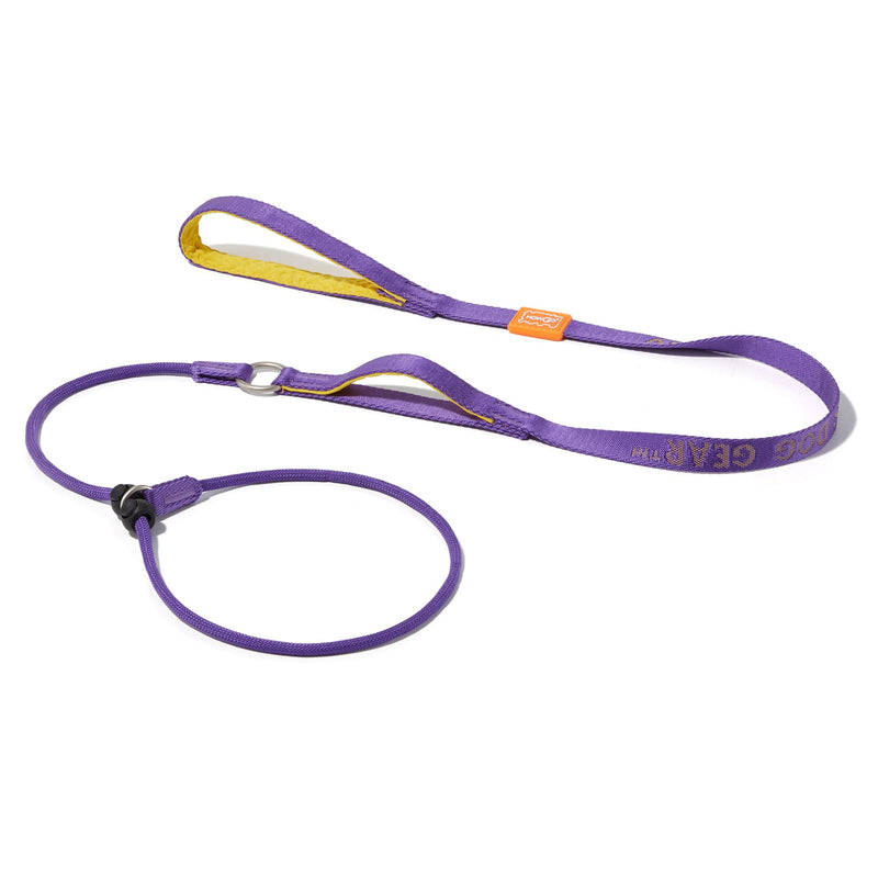 HOWGO Dog Slip Lead Dog Leash,Training Leash,Cinch Leash, No-Pull Slip Leash and Collar,Heavy Duty&Durable,Padded Handle,for All Breeds,5FT Purple - BeesActive Australia