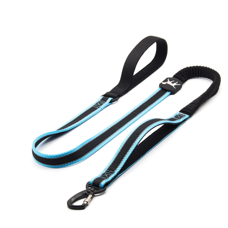 Dog Leash, 5-6 Ft Reflective Dog Walking Training Shock Absorbing Bungee Leashes, 2 Padded Traffic Handle Extra Control, for Medium and Large Duty Dogs Blue_Leash - BeesActive Australia
