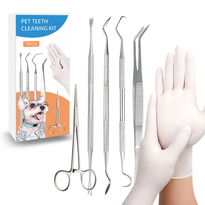ofikpaloe Dog Teeth Scaler, Double Headed Spatula, Stainless Steel, Tartar Remover Pet Teeth Cleaning Tool for Dogs and Cats 7pcs - BeesActive Australia