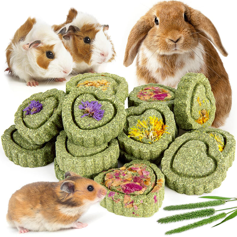 Sofier Timothy Hay Treats Rabbit Toys Bunny Toys Guinea Pig Toys Natural Chews for Teeth Handmade Rabbit Chews and Treats Chinchilla Rat Hamster Gerbil 1 Count (Pack of 12) - BeesActive Australia
