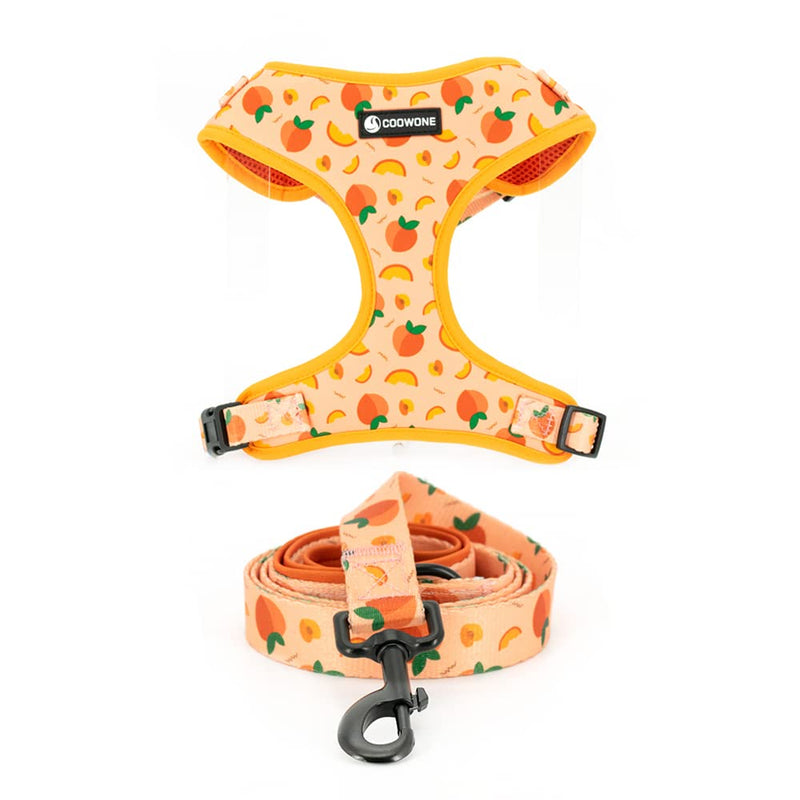No Pull Dog Harness with Leash Set Adjustable Puppy Harnesses Breathable Mesh Padded Pet Outdoor Walking Training Supplies for Medium Small Pets S Peach - BeesActive Australia