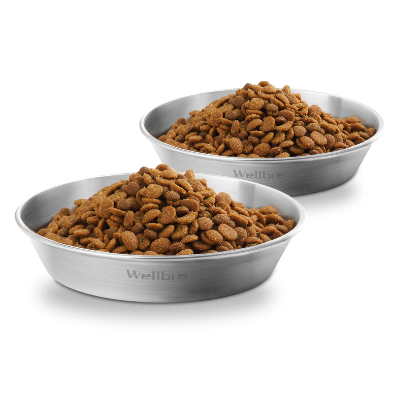 Wellbro Cat Food Bowls, 2 Pcs Stainless Steel Cat Food and Water Bowls, Whisker Fatigue Shallow Cat Dishes, Small Dog Puppies Fat Faced Cat Kitten Supplies 2 bowls - BeesActive Australia