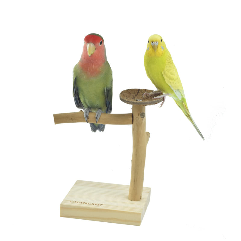 GUANLANT Natural Wood Bird Stands Feeder Toys, Tabletop Portable Training Parrots Perch Playstands Feeding Bowl Treats Toys,Bird Cage Playground Accessories for Parakeets Conure Budgies Lovebirds - BeesActive Australia