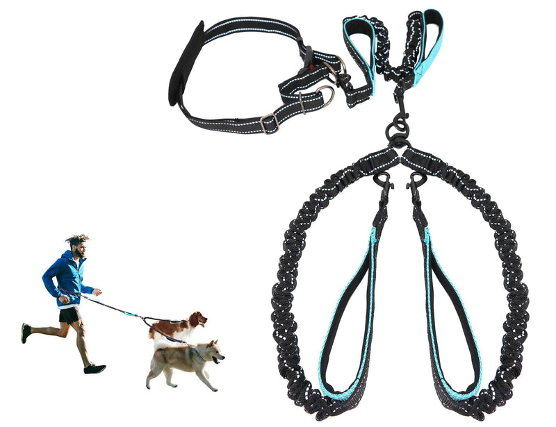 Hands Free Dog Leash, Double Dog Leash, MingXpets Waist Dog Running Leash for Comfortable Walking Jogging Training Hiking, Long Padded No Tangle 360° Swivel Clasp Adjustable Dual Dog Lead Leashes - BeesActive Australia