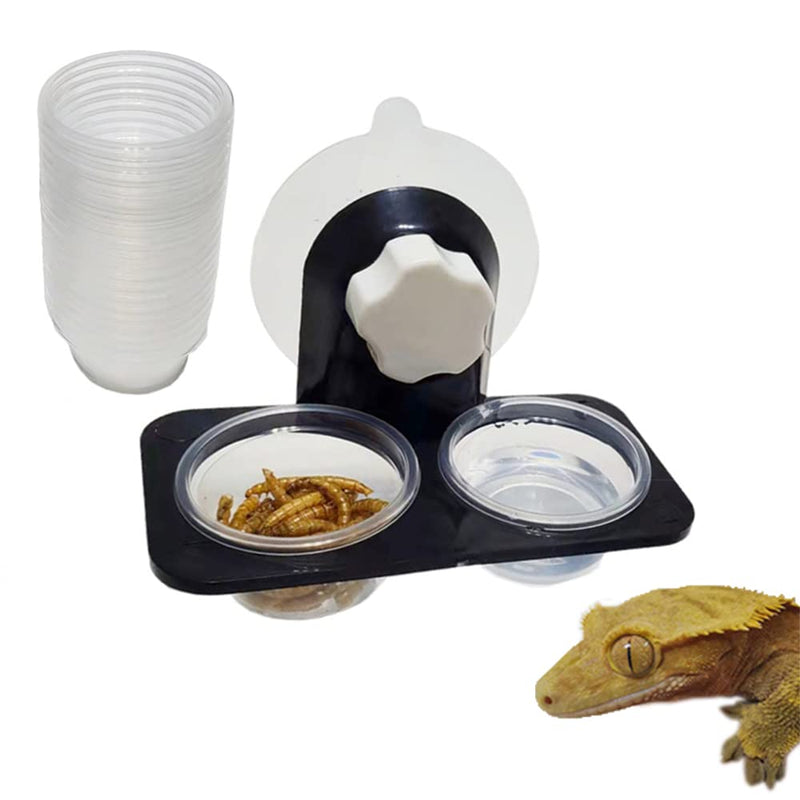 MRTIOO Enhanced Crested Gecko Feeding Ledge, Reptile Food Bowls and Water Dish for Lizard Or Other Small Pet Amphibian Feeder Ledge Accessories Supplies, with 20 pcs 0.5oz Food Cups - BeesActive Australia