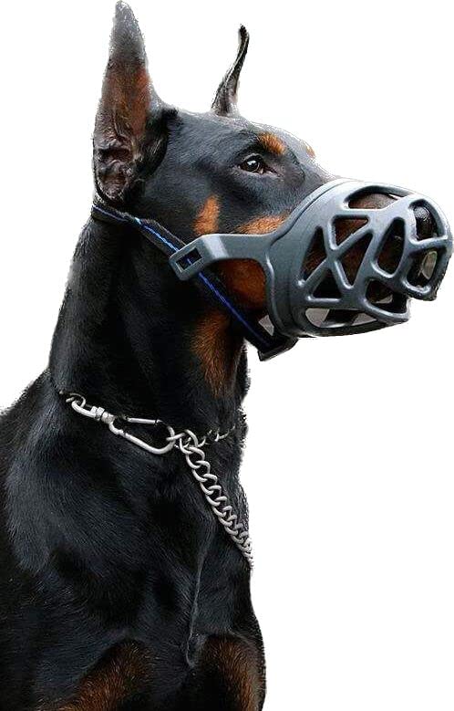 Zoro Dog Muzzle, Best to Prevent Biting, Chewing and Barking, Dog Muzzle Ideal for Small, Medium. Large and Extra Large Dogs, Drinking-Comfortable, Humane, Adjustable, Lightweight. XL - BeesActive Australia