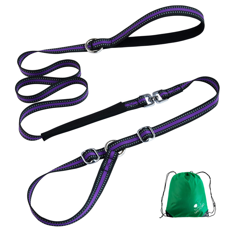 DAIHAQIKO Reflective Dog Leash, Double Handle Dog Leash, Slip Lead Dog Leash,4FT/6FT Nylon Dogs Leashes for Small DGS, Medium Dogs, Large Dogs Blue - BeesActive Australia