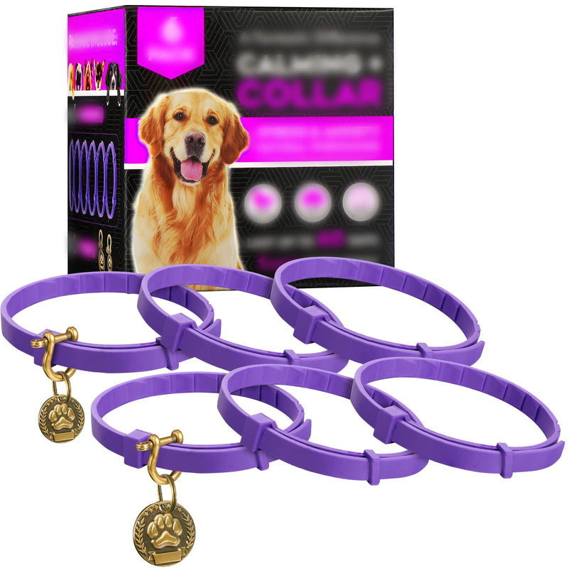 6 Pcs Calming Collar for Dogs 25 Inches Dogs Calming Pheromones Collar Dog Anxiety Relief Adjustable Pheromone Collar for Dogs with 2 Dog Tags for Medium Large Puppy Reduce Anxiety or Stress, Purple - BeesActive Australia