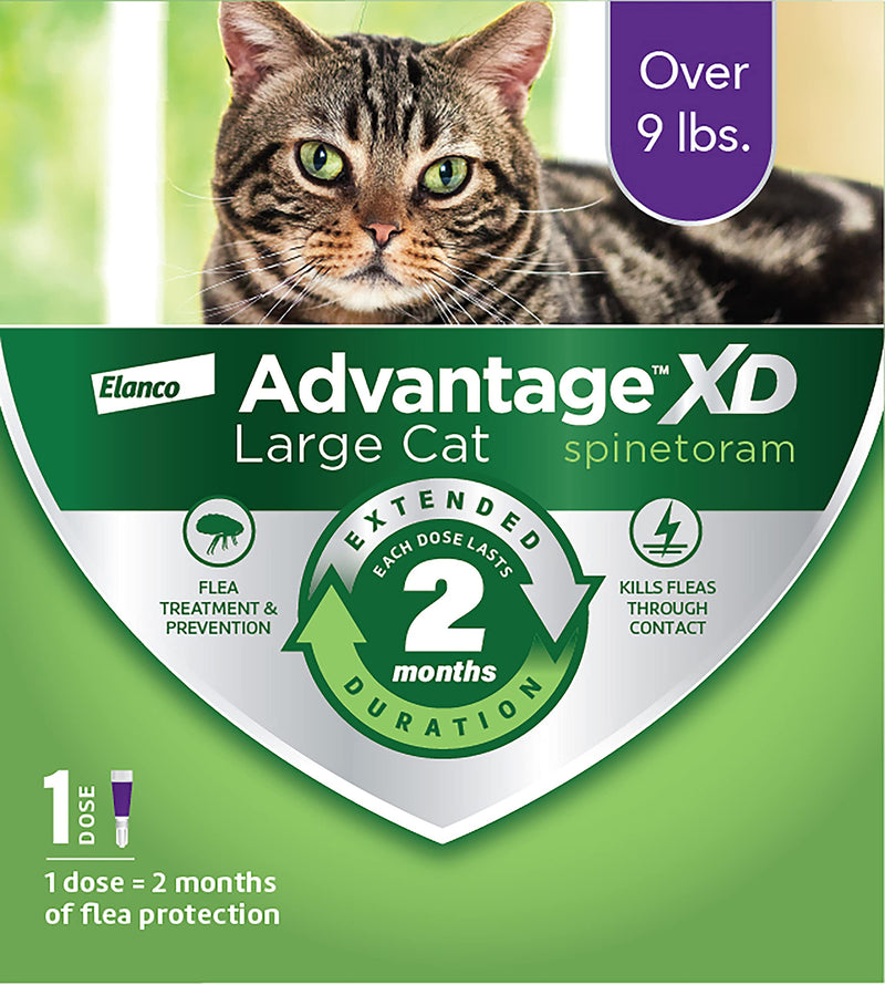 Advantage XD Long-Lasting Flea Prevention & Treatment for Large Cats (Over 9 lbs) 1 Pack - BeesActive Australia