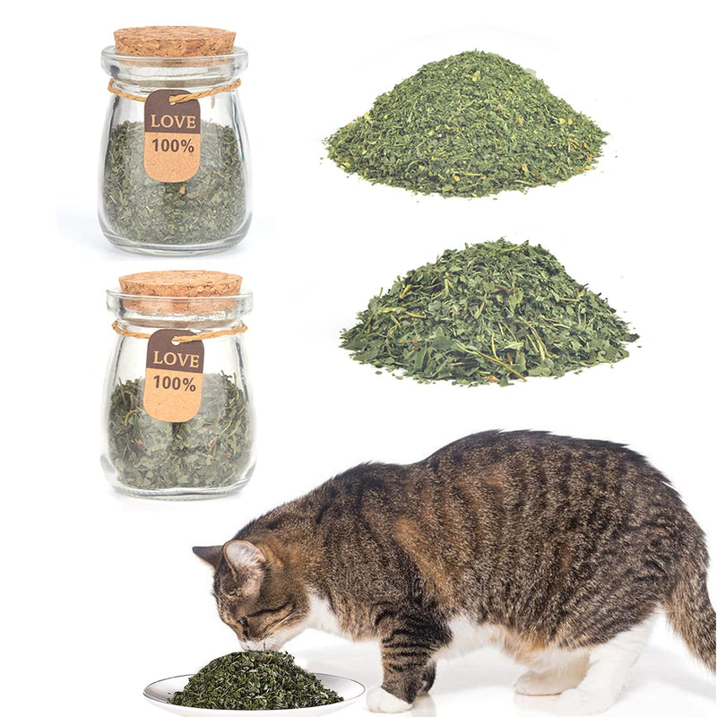 2 Pack Bottled Catnip Powder, Cat Edible Toys, Chewable Cat Toys, Clean Teeth Cat Treats Toys.Catnip Toy 2 pieces Cat toy - BeesActive Australia