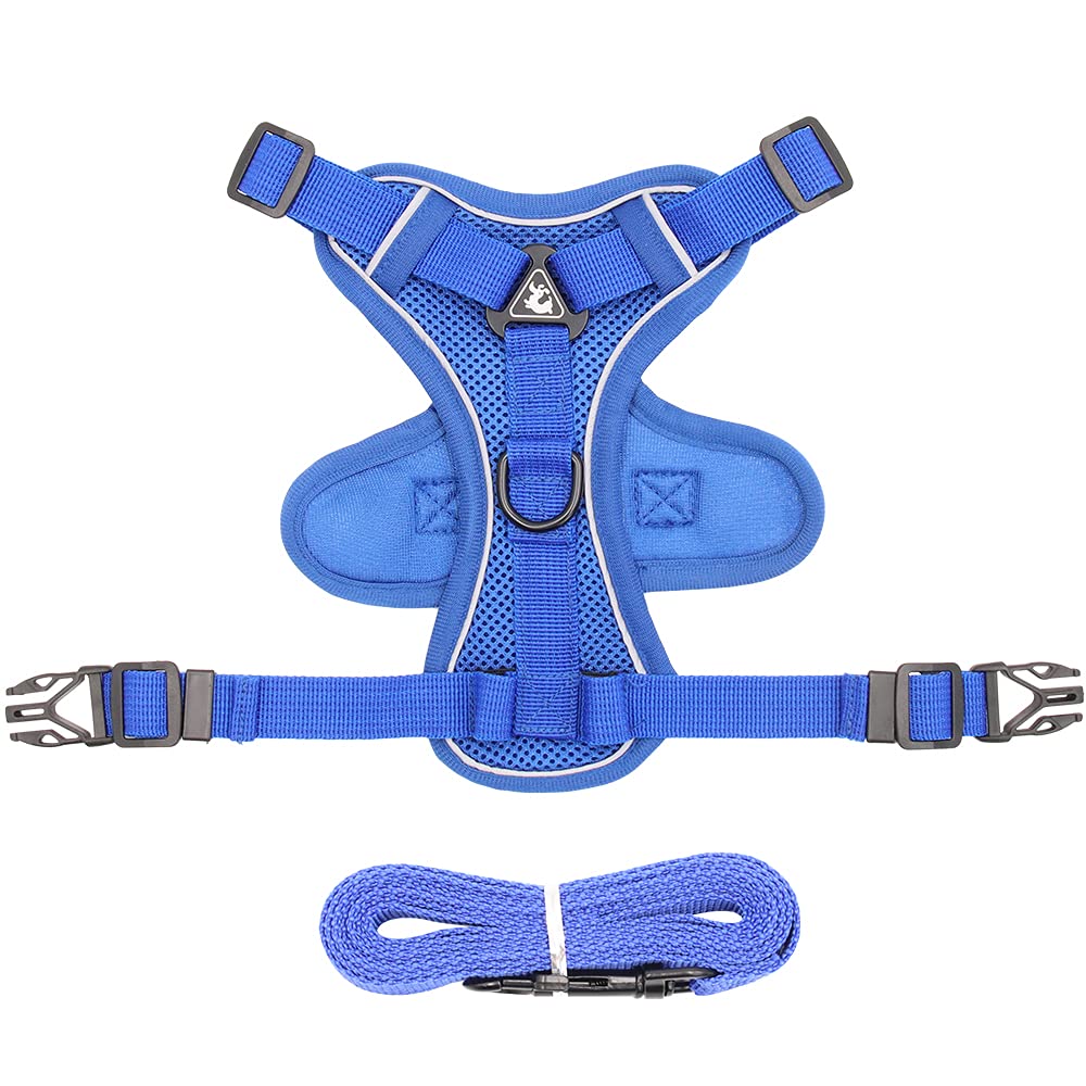 Reflective Dog Harness with 1.5m Leash Small Royal Blue - BeesActive Australia