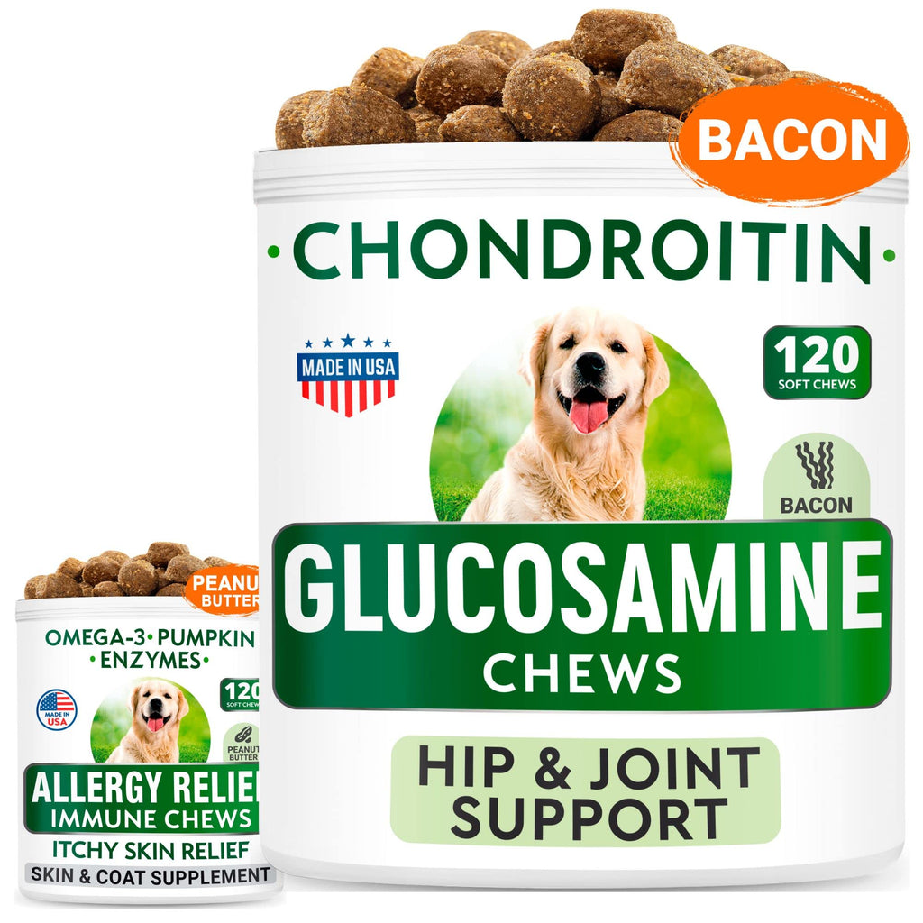 Glucosamine + Allergy Relief Dog Treats Bundle - Joint Pain Relief + Itchy Skin Relief - Chondroitin, MSM + Omega 3 + Pumpkin, Enzymes - Hip & Joint Care + Seasonal Allergies - 240 Chews - Made in USA - BeesActive Australia
