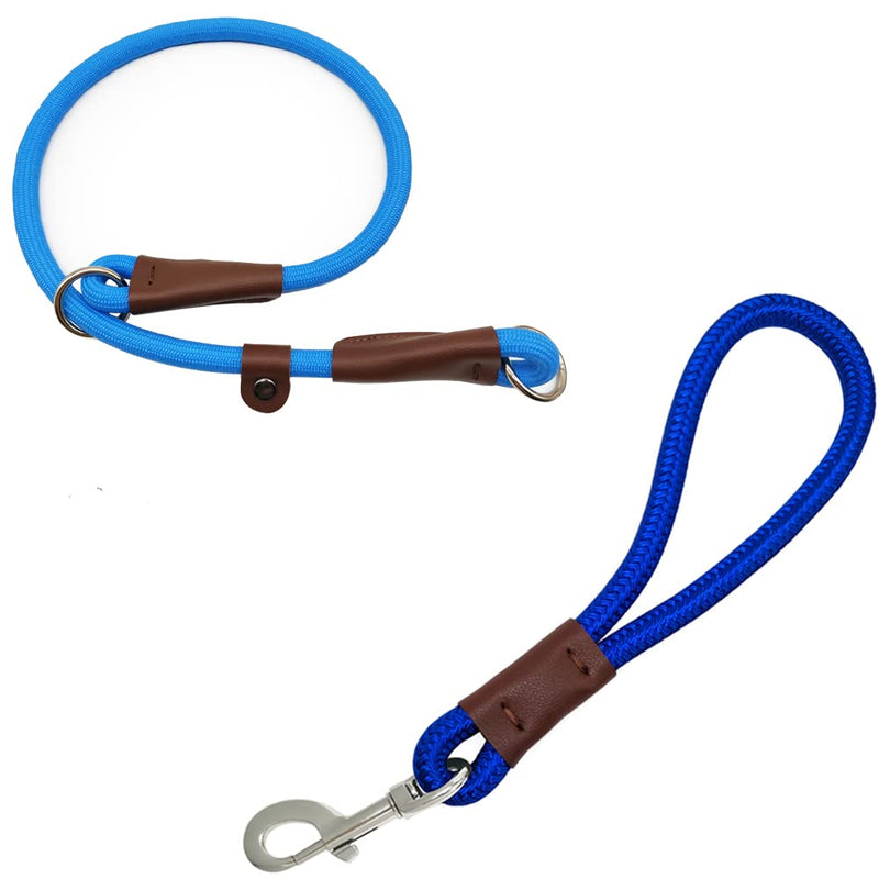 MayPaw Slip Lead Dog Collar + 12 Inch Short Dog Leash Blue - BeesActive Australia