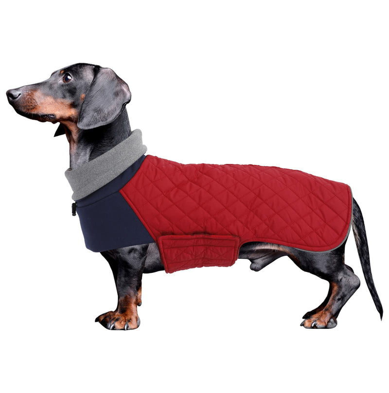 Geyecete Dachshund Coat,Dachshund Winter Coat,Warm Dachshund Coat Waterproof Windproof, High Neckine String Holes Miniature Dachshund Jacket for Small Dog Large Red - BeesActive Australia