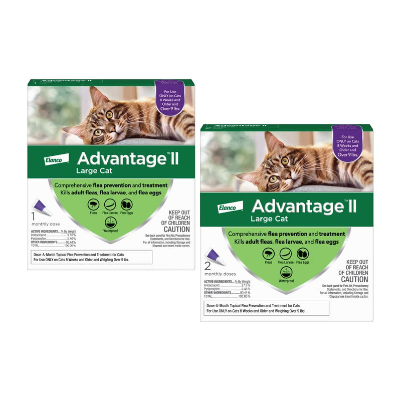 Advantage II Flea Prevention and Treatment for Large Cats (Over 9 Pounds), 3-Pack - BeesActive Australia