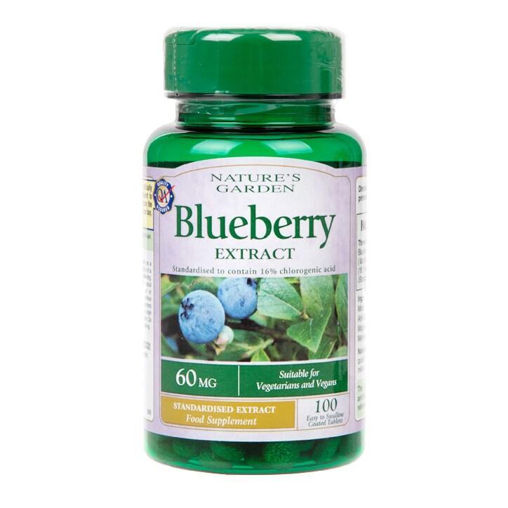 Good n Natural Blueberry Extract 100 Capsules 60mg - BeesActive Australia