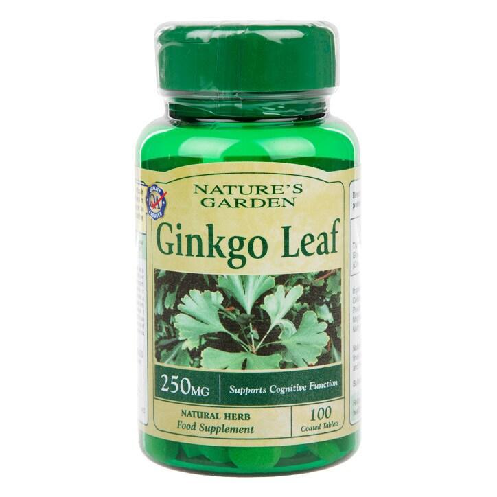 Good n Natural Ginkgo Leaf 100 Tablets 250mg - BeesActive Australia