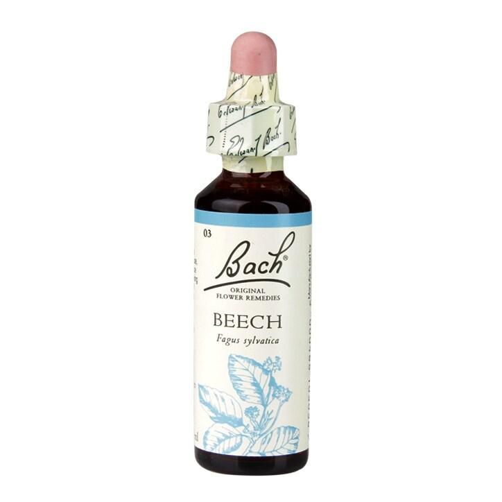 Bach Original Flower Remedies Beech 20ml - BeesActive Australia