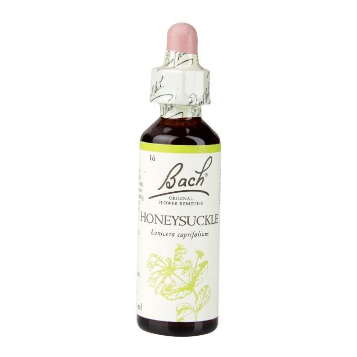 Bach Original Flower Remedies Honeysuckle 20ml - BeesActive Australia