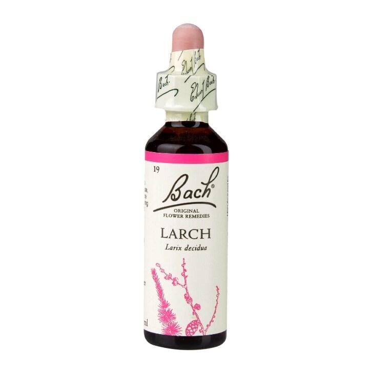 Bach Original Flower Remedies Larch 20ml - BeesActive Australia
