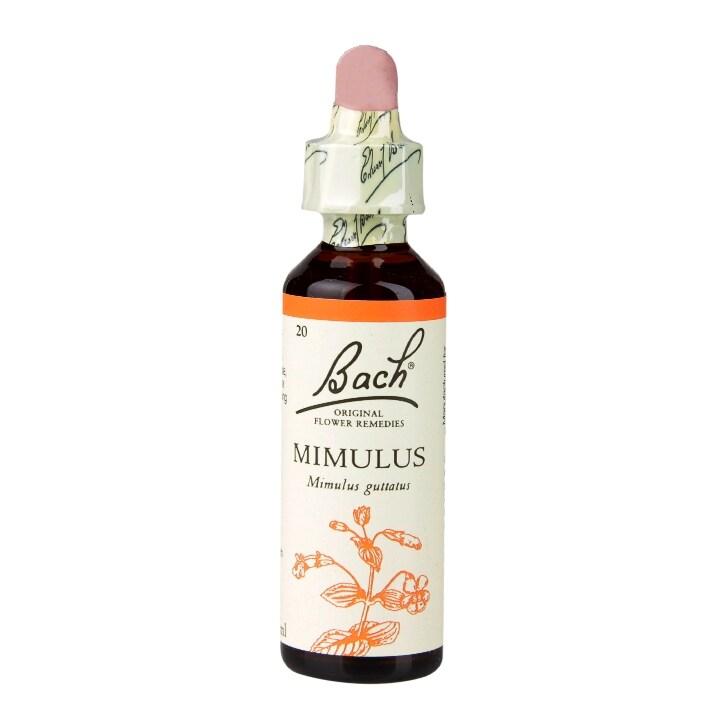 Bach Original Flower Remedies Mimulus 20ml - BeesActive Australia