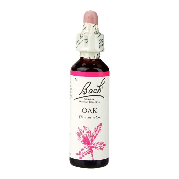 Bach Original Flower Remedies Oak 20ml - BeesActive Australia