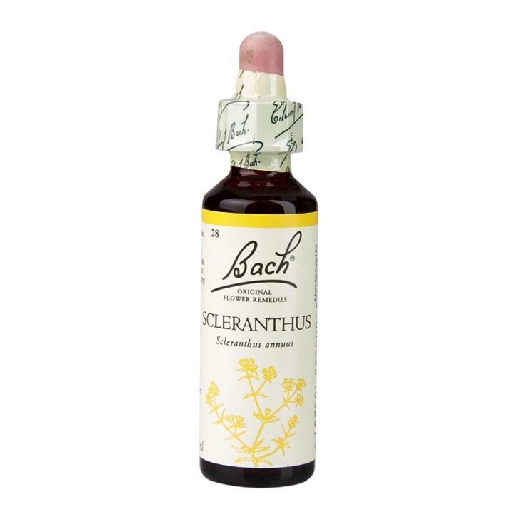 Bach Original Flower Remedies Scleranthus 20ml - BeesActive Australia