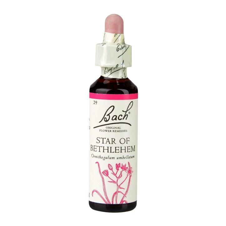 Bach Original Flower Remedies Star of Bethlehem 20ml - BeesActive Australia
