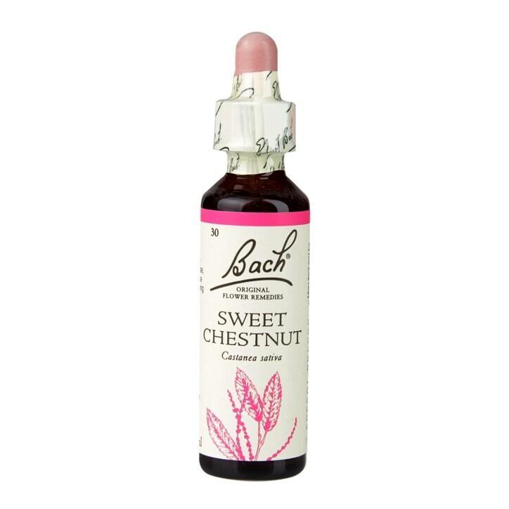 Bach Original Flower Remedies Sweet Chestnut 20ml - BeesActive Australia
