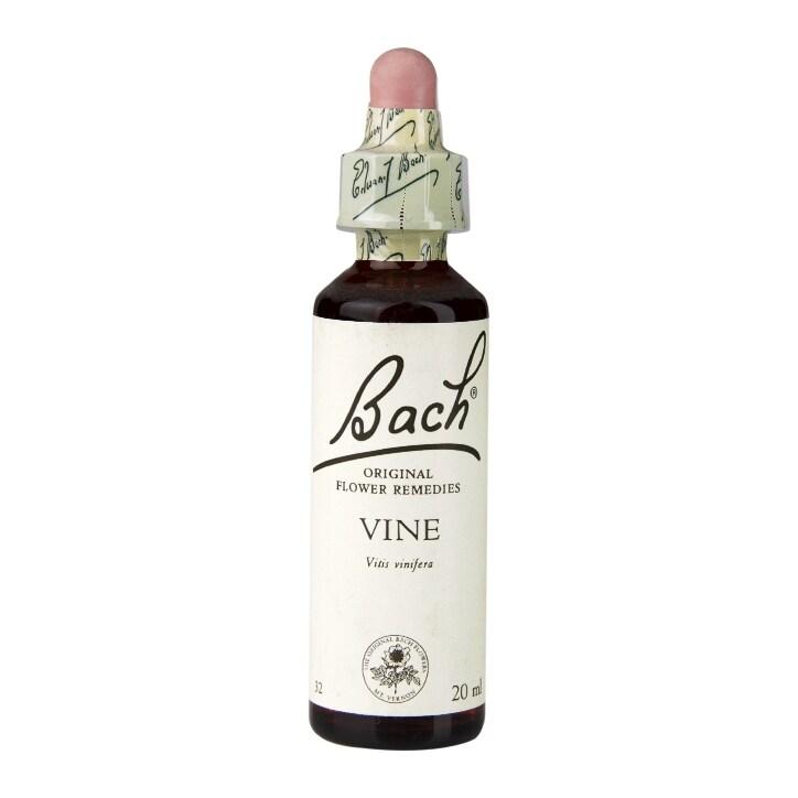 Bach Original Flower Remedies Vine 20ml - BeesActive Australia