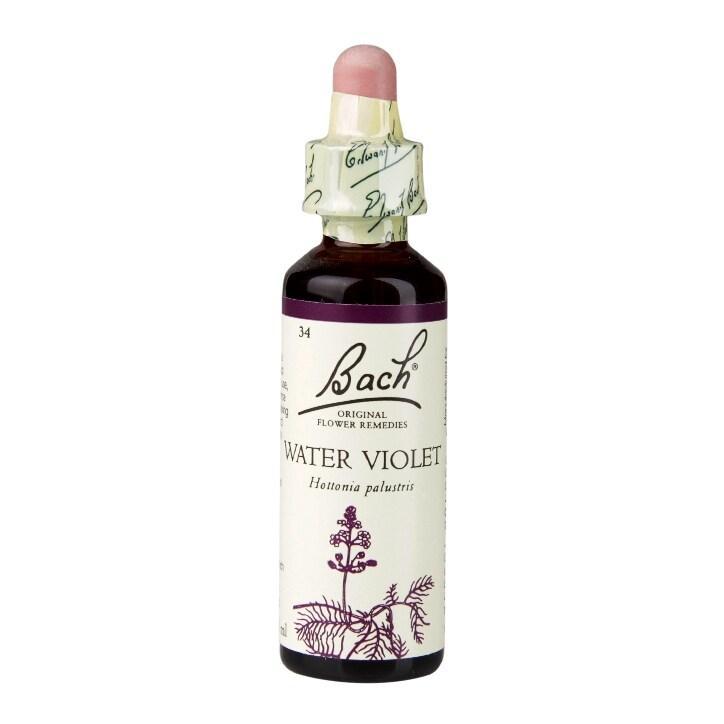 Bach Original Flower Remedies Water Violet 20ml - BeesActive Australia