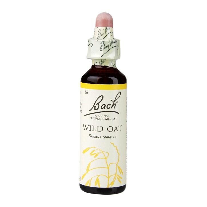 Bach Original Flower Remedies Wild Oat 20ml - BeesActive Australia