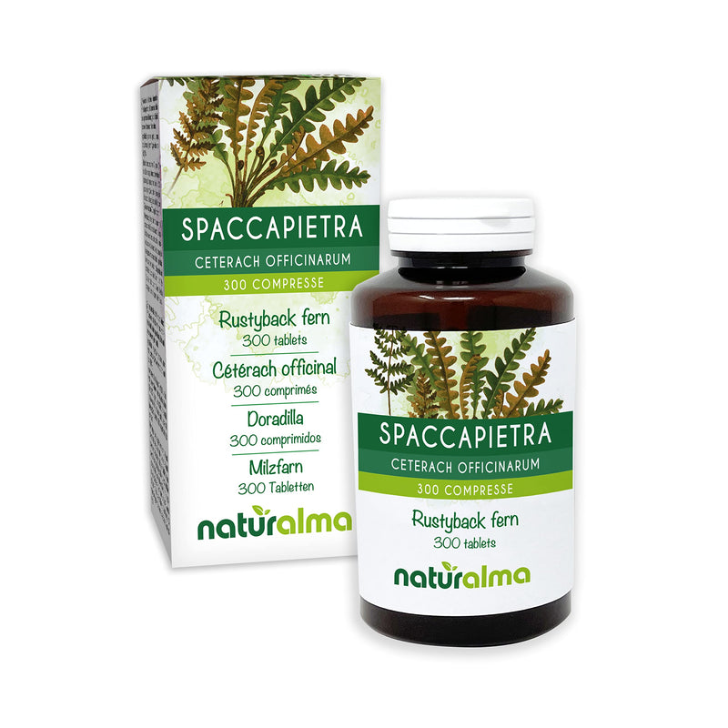 Rustyback Fern (Ceterach officinarum or Asplenium Ceterach) Leaves NATURALMA | 150 g | 300 Tablets of 500 mg | Food Supplement | Natural and Vegan - BeesActive Australia