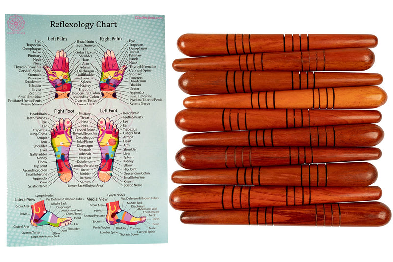 Massage toolsets for Professionals Foot Hand Massage Wooden Stick Reflexology Multi Available. (10 Sticks + Chart) Set C - BeesActive Australia
